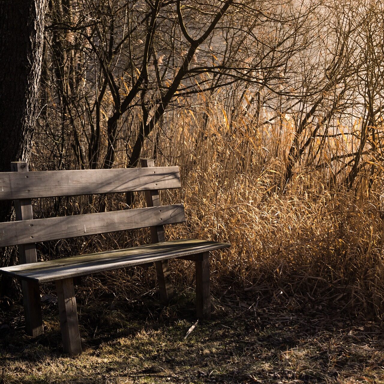 bench-1190768_1920